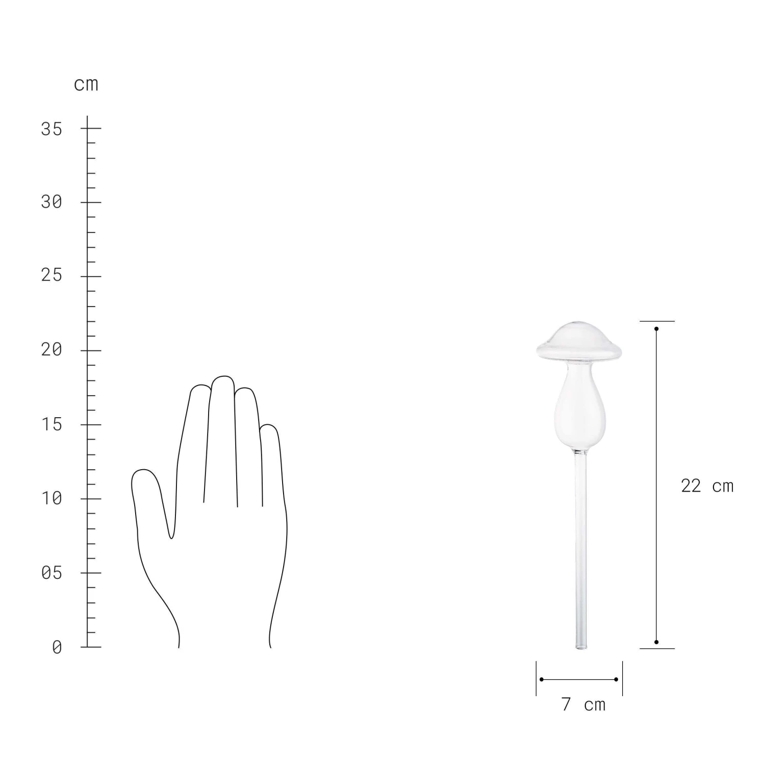 Bewässerungspilz Höhe 22cm RAINDROPS In Transparent – Bild 3