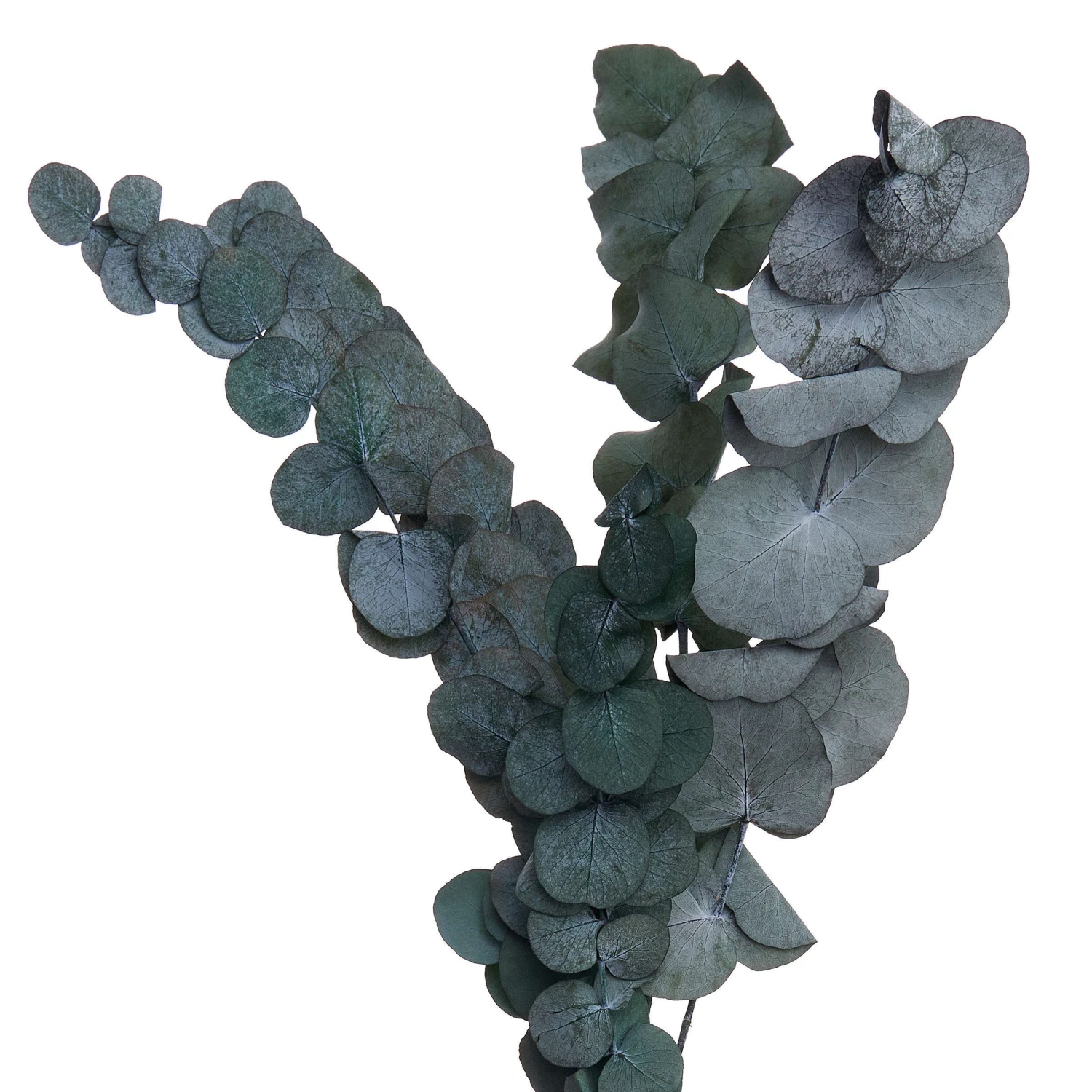 Trockenblumen Blumenstrauß FLOWER MARKET In Grün – Bild 3