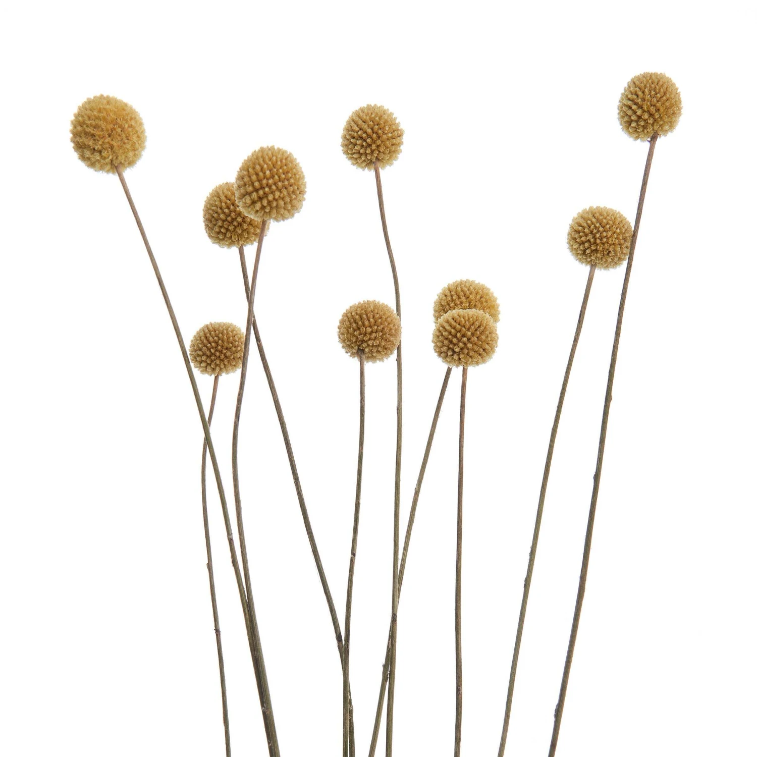 Trockenblumen Blumenstrauß FLOWER MARKET In Grün – Bild 4